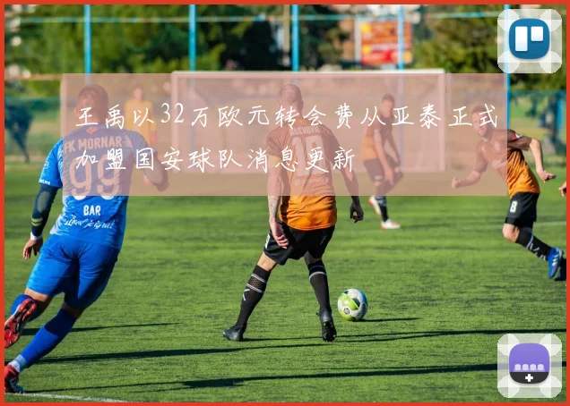 王禹以32万欧元转会费从亚泰正式加盟国安球队消息更新